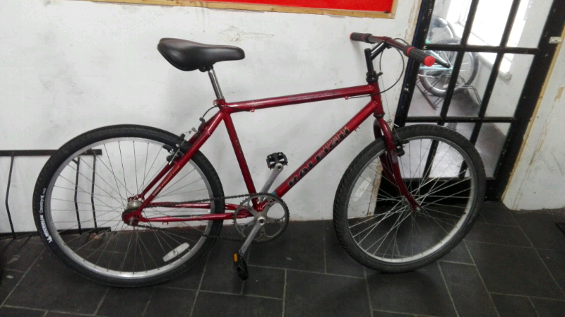 raleigh avalanche mountain bike